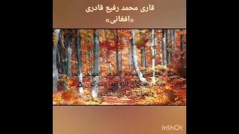 تلاوت قاری محمد رفیع قادری سوره الحشر  تقلید الشیخ عبدالباسط محمد عبدالصمد