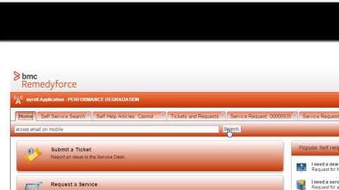 BMC Remedyforce - Self Service