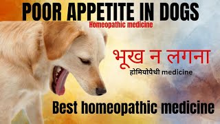 Poor appetite in dogs । Homeopathic medicine।  कुत्तों मे भूख ना लगना। होमियोपैथी मेडिसिन। by Durabull kennel 81 views 3 months ago 3 minutes, 22 seconds