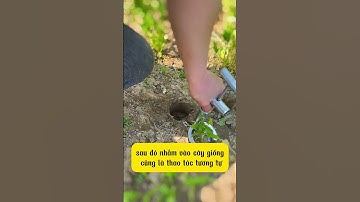 WOW! Dụng Cụ Trồng Cây Con Cầm Tay Bằng Thép Không Rỉ.