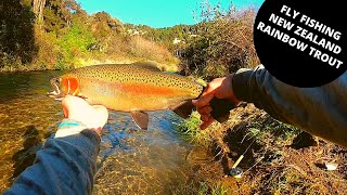 Fly Fishing Taupo New Zealand - Hinemaiaia River