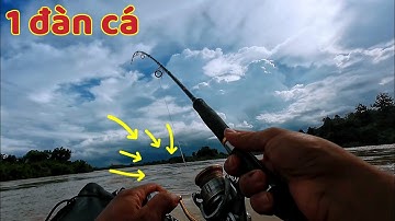 Chỉ Cần 3 giây để Câu 1 Con Cá , Câu Được Cả Đàn Cá Ngon 