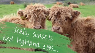 Exploring Argyll And Bute Solo Female Van Life