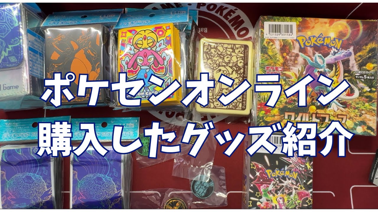 ポケセンオンライン購入グッズアイテム紹介。年末ボーナス払い