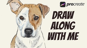 Pet Portraits in Procreate - Tutorial 120