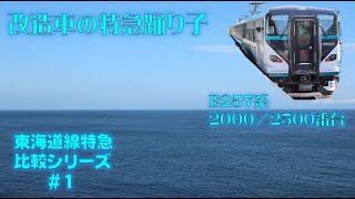 【東海道線特急比較シリーズ(1)】E257系特急踊り子号に伊東まで乗ってきた。