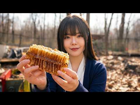Soseo's Snack Shack Hideout