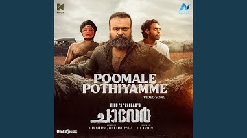 Poomale Pothiyamme (From "Chaaver")