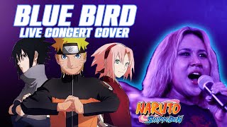 Blue Bird - Naruto Shippuden - Concert Cover