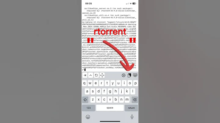 Download Torrents on iphone