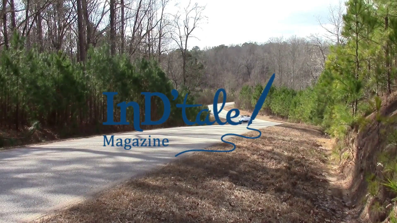 InD'scribe Author/Reader Conference 2015 Commercial