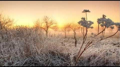 (وقيل للذين اتقوا ماذا أنزل ربكم ) تلاوة رائعة للشيخ وديع اليمني