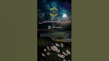 تلاوة طيبة -أكتب شيء تؤجر عليه -اللهُم صل وسلم على نبينا محمد #قرآن #لايك #اكسبلور #المصحف #الرحمن