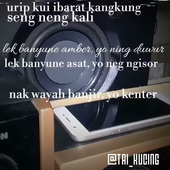 Story WA-kata kata agos kotak