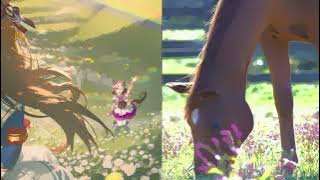 Grass Wonder - Chatsumi no uta (Tea picking song)