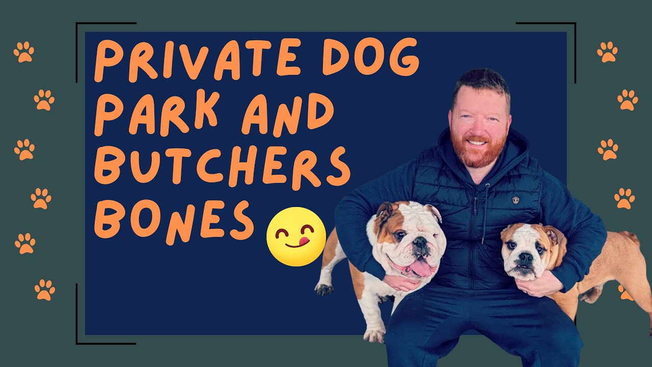 Частная парковка для собак и мясная лавка — идеальный день для бульдога!