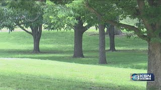 Swing in temps, rain, humidity all contributing to stronger allergy season