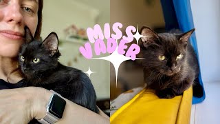 Vader the dog loving kitty! screenshot 5