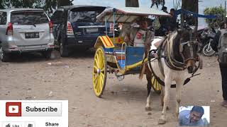 Erkata Pet Pet Antha Pryma Ginting