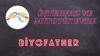 İnterfaz Ve Mi̇toti̇k Evre