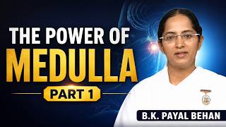 Medulla 1 - 12 Explained — Smell, Vision, Sleep, Digestion & More | Neurotherapy |Part 1|B.K. Payal