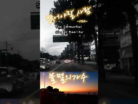 잊어야할 사람 불멸의가수 배호 The Immortal Singer Bae Ho 