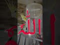#islam#islamicshorts #1million #allah