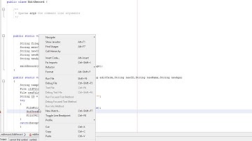 Edit a Record in a CSV/txt File Java