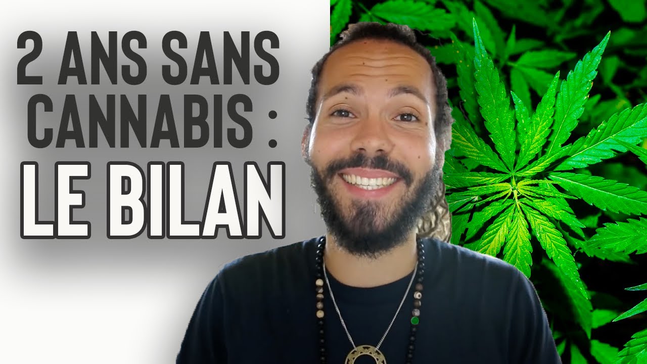 2 ANS SANS CANNABIS - BILAN