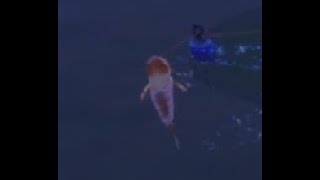 Palia: Giant Goldfish with 1 Glow Worm (or target farm any fish)