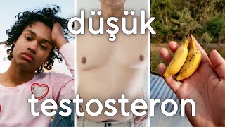 düşük testosterona sahip olduğunu olduğunu gösteren 7 etken (kısa ve net)