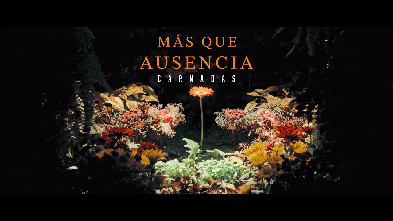 Carnadas - Mas Que Ausencia