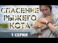 СПАСЕНИЕ РЫЖЕГО КОТА - 1 серия ❆ КОТОЖИЗНЬ! 16 и 18 июня 2019