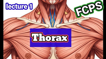 THORAX ANATOMY fcps part #1 lecture #1 #rafiullah #fcps #cpsp #usmle #plab #neet25