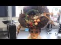 Fantasy Mannequin 2016 Irish Schools Hairdressing Competition