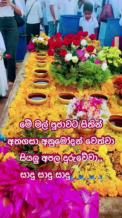 මේ මල් පූජාවට සිතින් අතගසා අනුමෝදන් වෙන්න  🙏🏻#buddha#shorts #ruwanweliseya #anuradhapura#srilanka