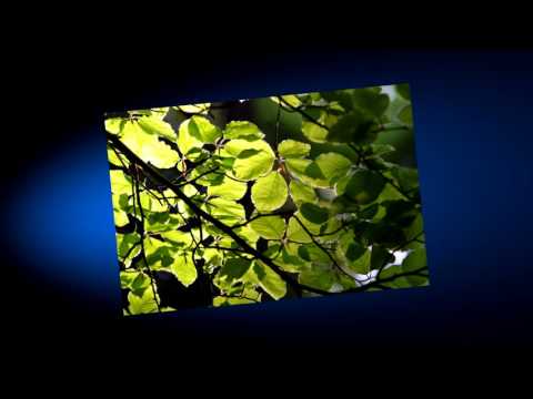Аутогенная тренировка по Шульцу