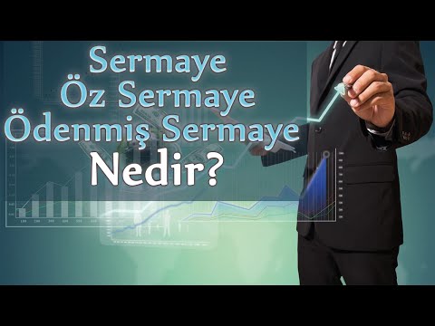 Video: Sermaye teorileri: sermaye kavramı ve özü, özellikleri