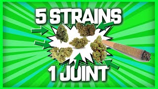 5 Strains 1 Joint - UK WEED (First Look At The NEW CAVE)