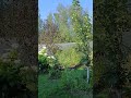 КАК Я ХОТЕЛА ЭТОЙ ТИШИНЫ!!!!29.07.25г.ПОДМОСКОВЬЕ.ДАЧА.РОДСТВЕННИКИ.В ГОСТЯХ.