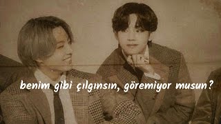 zayn - tio | türkçe çeviri