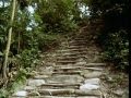 La Ciudad Perdida (The Lost City) | From the Heart of the World - The Elder Brother's Warning