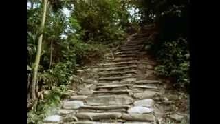 La Ciudad Perdida (The Lost City) | From the Heart of the World - The Elder Brother's Warning