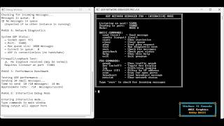 Building a UDP Network Debugger in Hobby BASIC