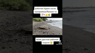 Рабочие будни после праздников