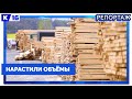Нижегородские производители стройматериалов наращивают выпуск
