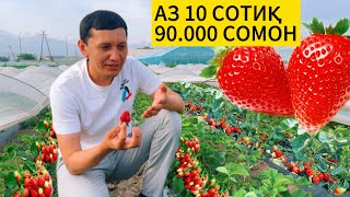 картинка: Даромад аз қулфинай / Азия, Клери, Мурано, Купчиха.