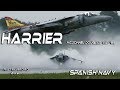 RIAT 2019 4K UHD 2 x  Harrier IIS  EAV8B  Spanish Navy Spectacular Demo and Landing