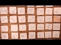 Ebola Outbreak and Virus Evolution Quiz