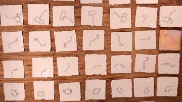 Think Like a Scientist--Natural Selection in an Outbreak | HHMI BioInteractive